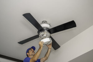 ceiling fan installation wynnum