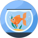 Annie Boyle profile picture