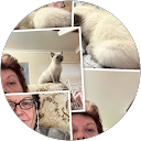 Anne Radford profile picture